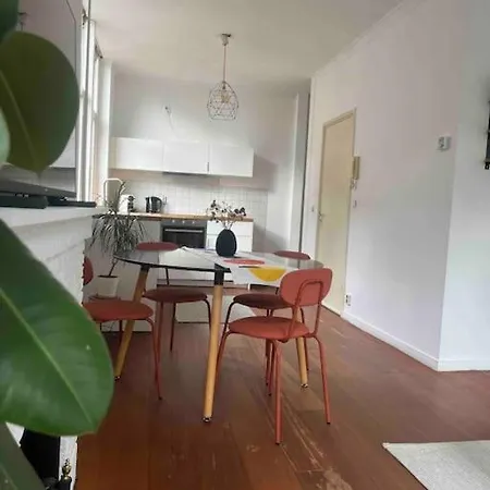 The * روتردام